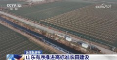 “严冬模式”大部门农区光温前提利于越冬做物